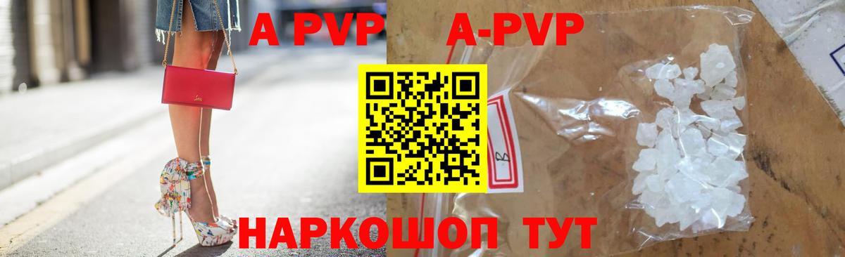 Альфа ПВП СК КРИС Светлоград