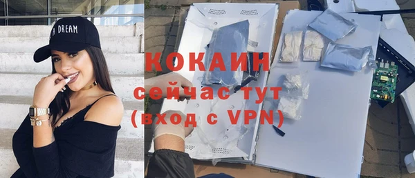 стаф Пересвет