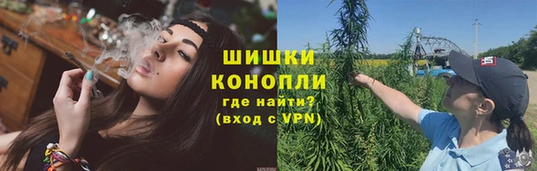 сатива Переславль-Залесский