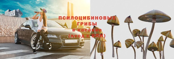 сатива Переславль-Залесский