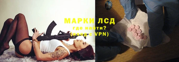 стаф Пересвет
