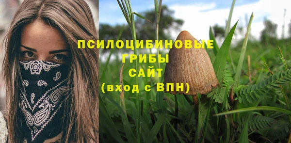 стаф Пересвет