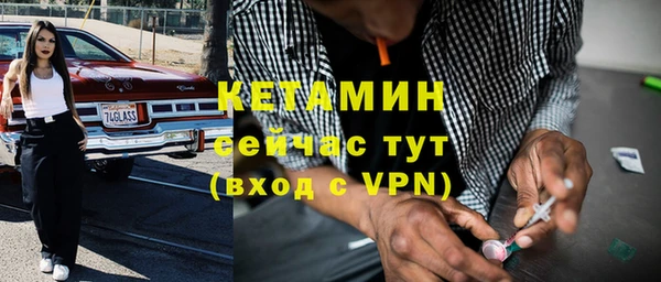 стаф Пересвет