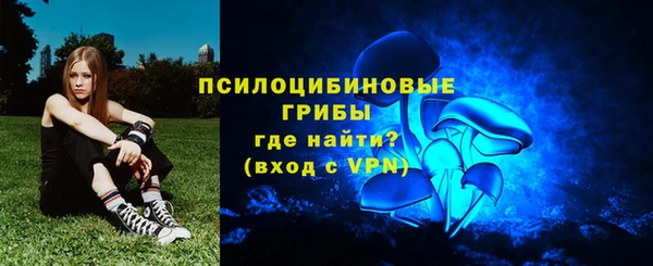 стаф Пересвет