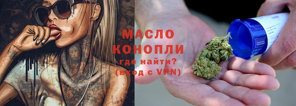 стаф Пересвет