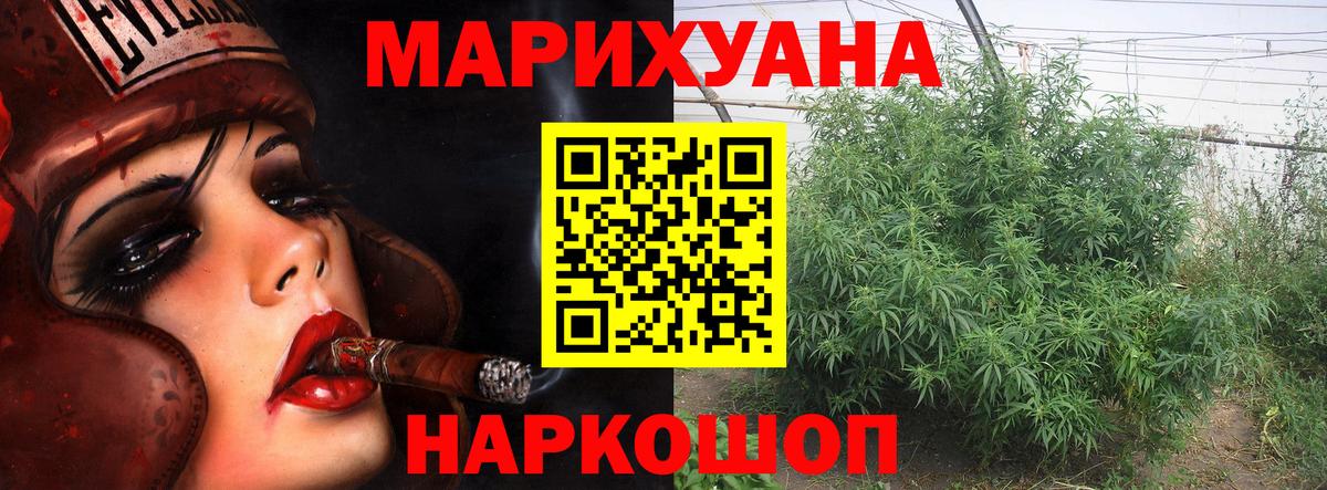 Конопля OG Kush Светлоград